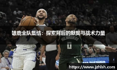 雄鹿全队集结：探索背后的默契与战术力量